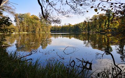 Amtssee am Kloster Chorin